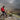Rope Rescue Operator (RRO)