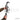 Delta Tactical Ladder (DTL)